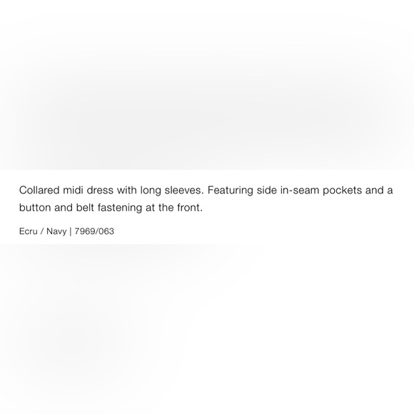 NWT Zara Satin Striped Midi Dress - Picture 10 of 10